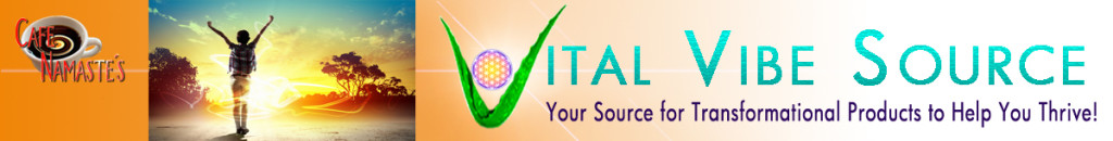 Vital Vibe Banner 3-14